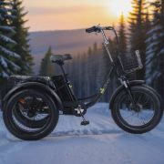Трехколесный электровелосипед Fat Trike T Zima Трехколесный электровелосипед Fat Trike T Zima